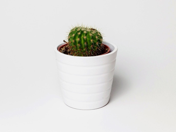 Small Office Decoration Ideas